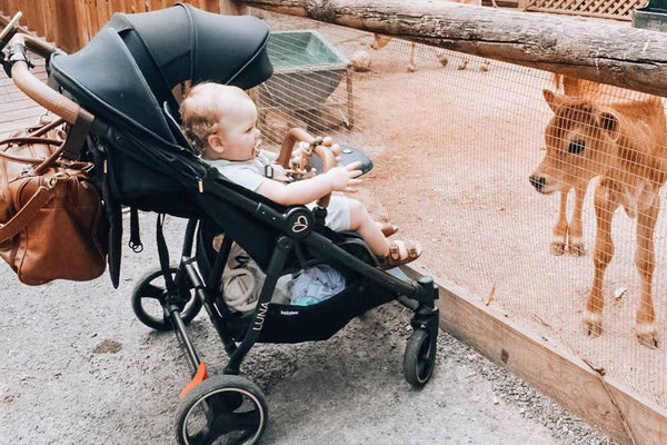 Ask Babybee: What are some general pram safety tips?